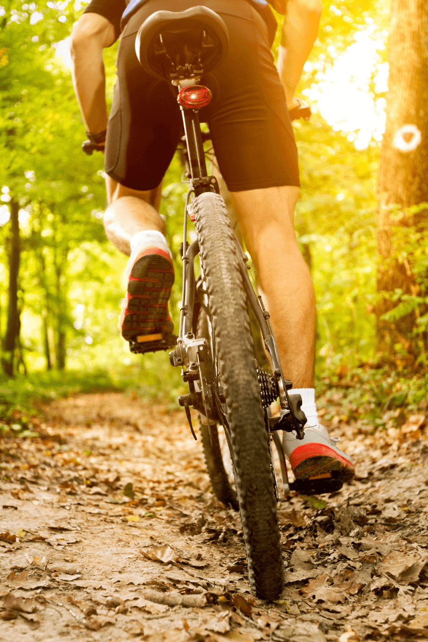 Ciclista di mountain bike in mezzo ad un bosco delle Dolomiti